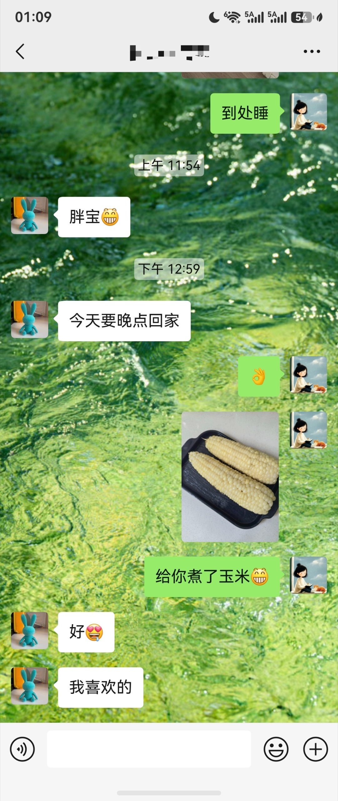 生活手记 我妈送的玉米总算都有归宿了隔壁邻居常隔着花园墙给我新鲜蔬菜，我也常给她