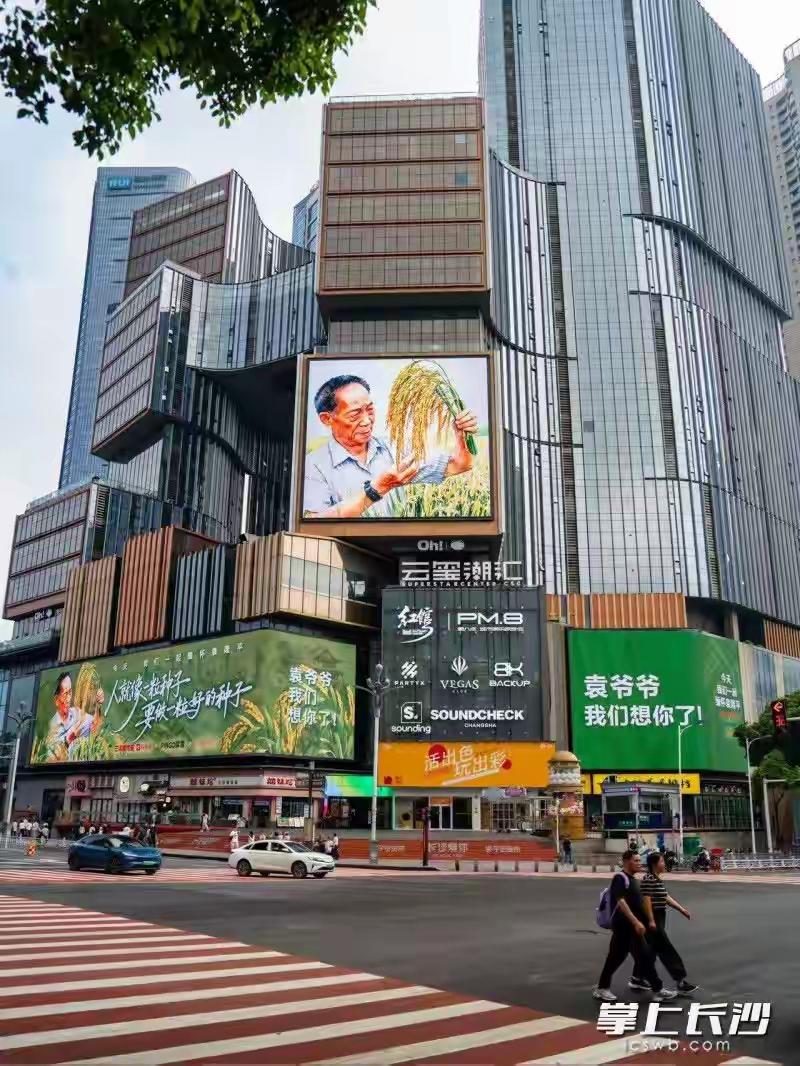 刷屏长沙街头！5年后全城泪目：袁爷爷，您的种子又丰收了
 
5月22日，袁隆平逝