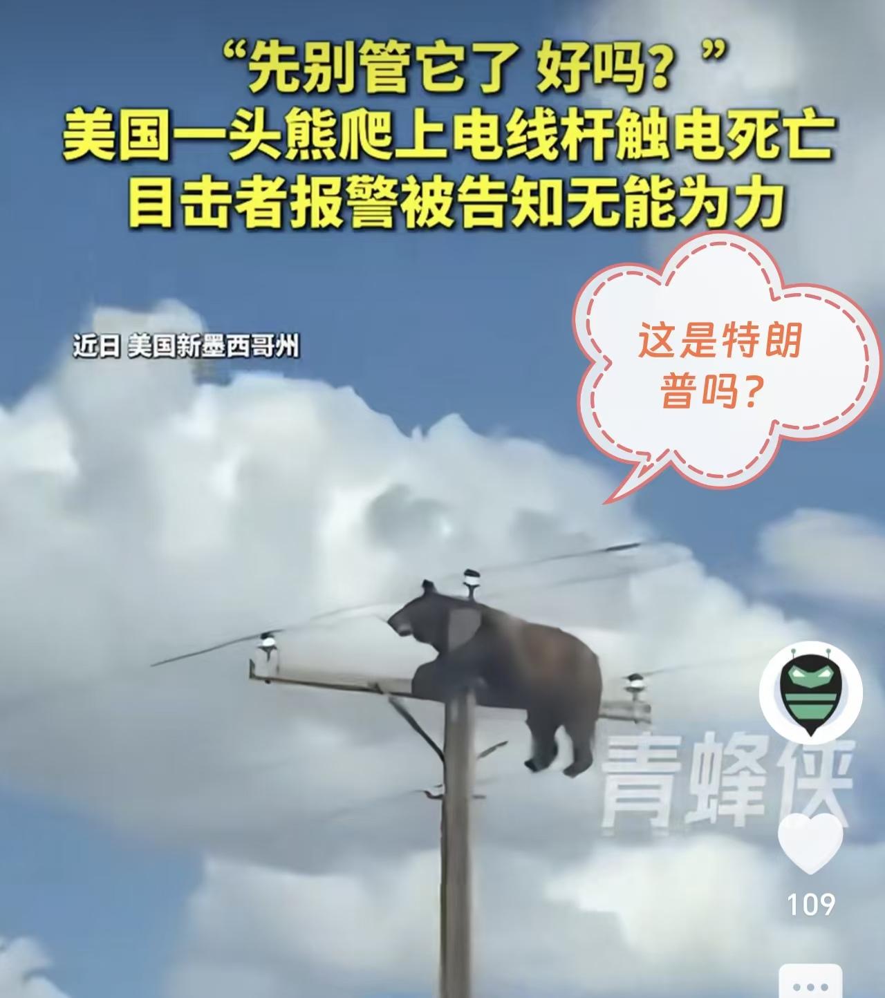这不是特朗普吗？

上不去，下不来。

如这头黑熊卡在伊朗的霍尔木兹海峡。

想
