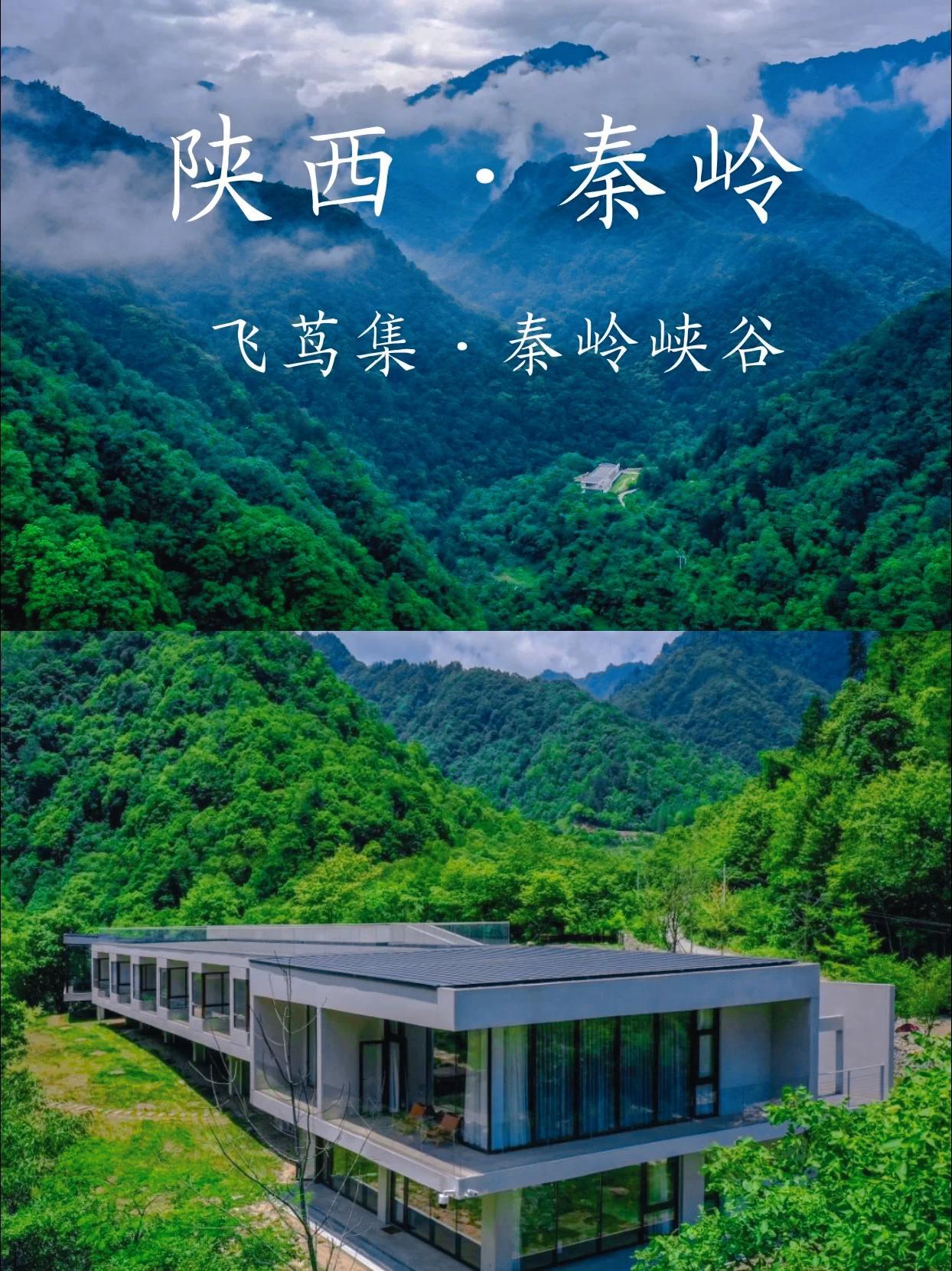 盛夏将至
快来秦岭南麓深山躲清凉🍃
漫步在茂密的森林中
清澈的💦小溪顺势而下