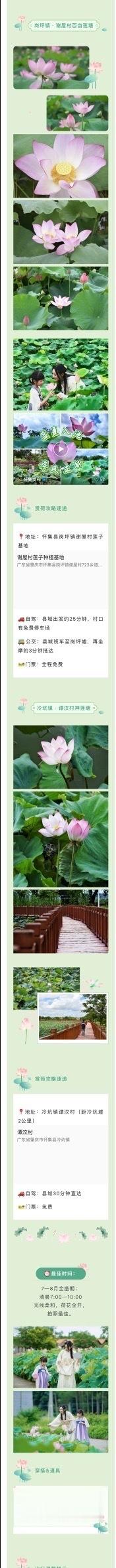 【免费！收下这份肇庆赏荷地图，出发！】盛夏时节什么花开得最灿烂、最上镜？最芬芳四