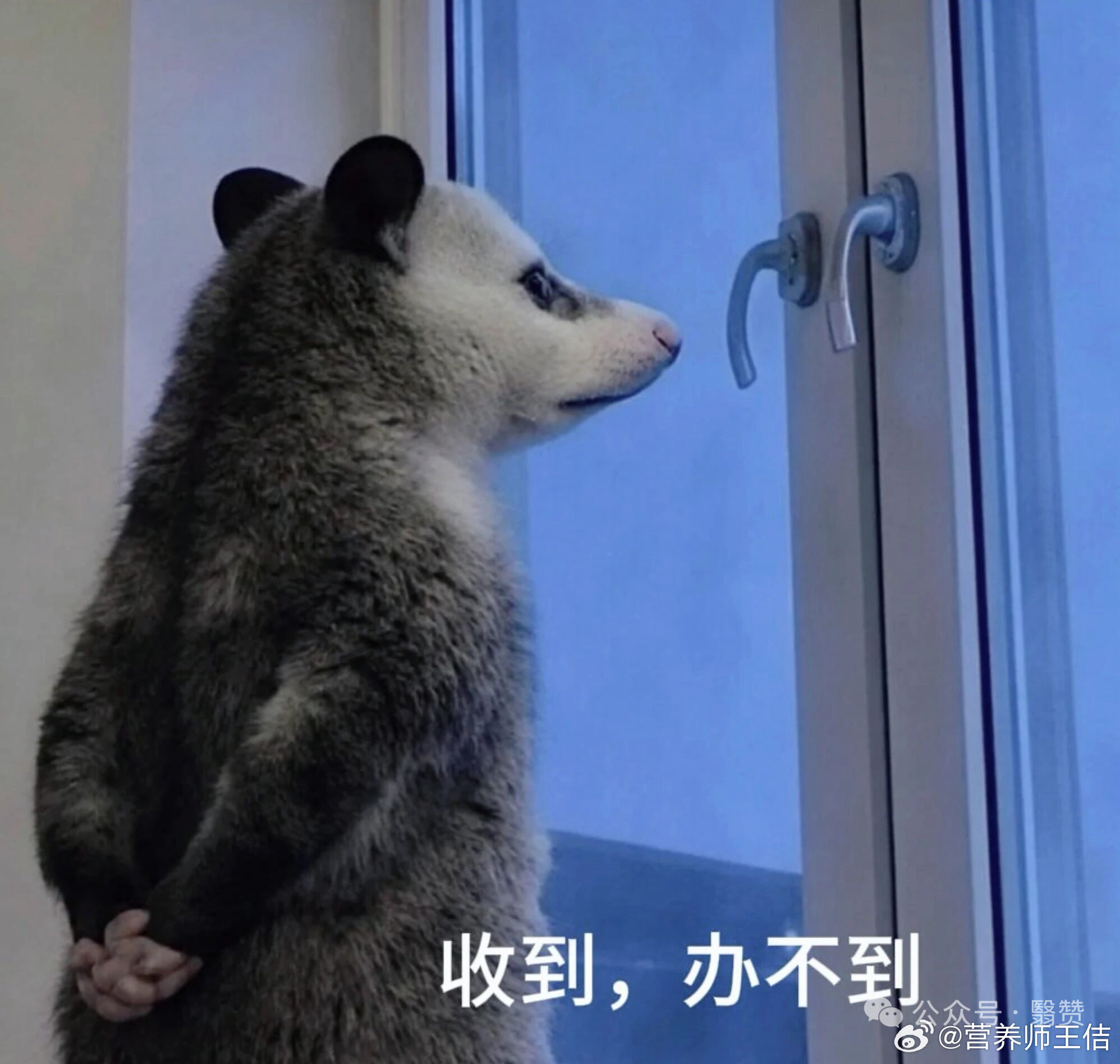 学员问我有没有什么可以随便吃榴莲还不影响减肥的办法。我只能回她三个表情包。 