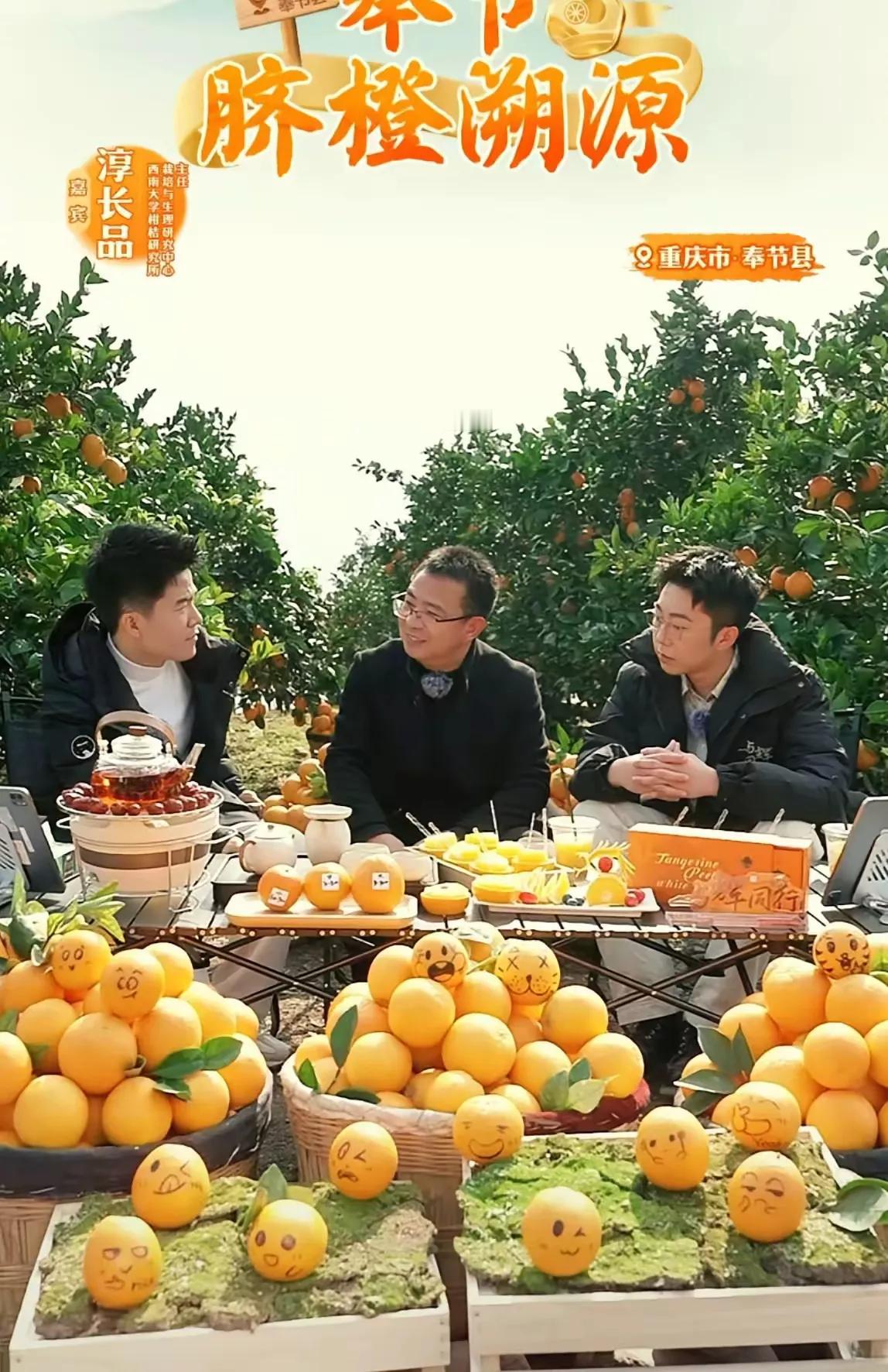 太搞笑了
宇辉重庆卖橙子，
看到这些橙子上的笑脸，
让我想起了达芬奇画鸡蛋。
大
