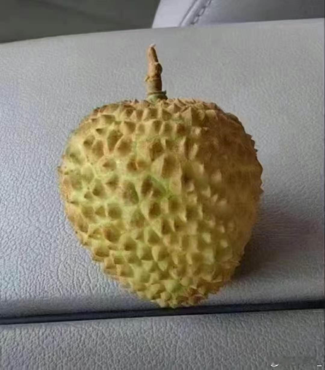 每天一个榴莲 并不是炫富 只是习惯了这样的生活 
