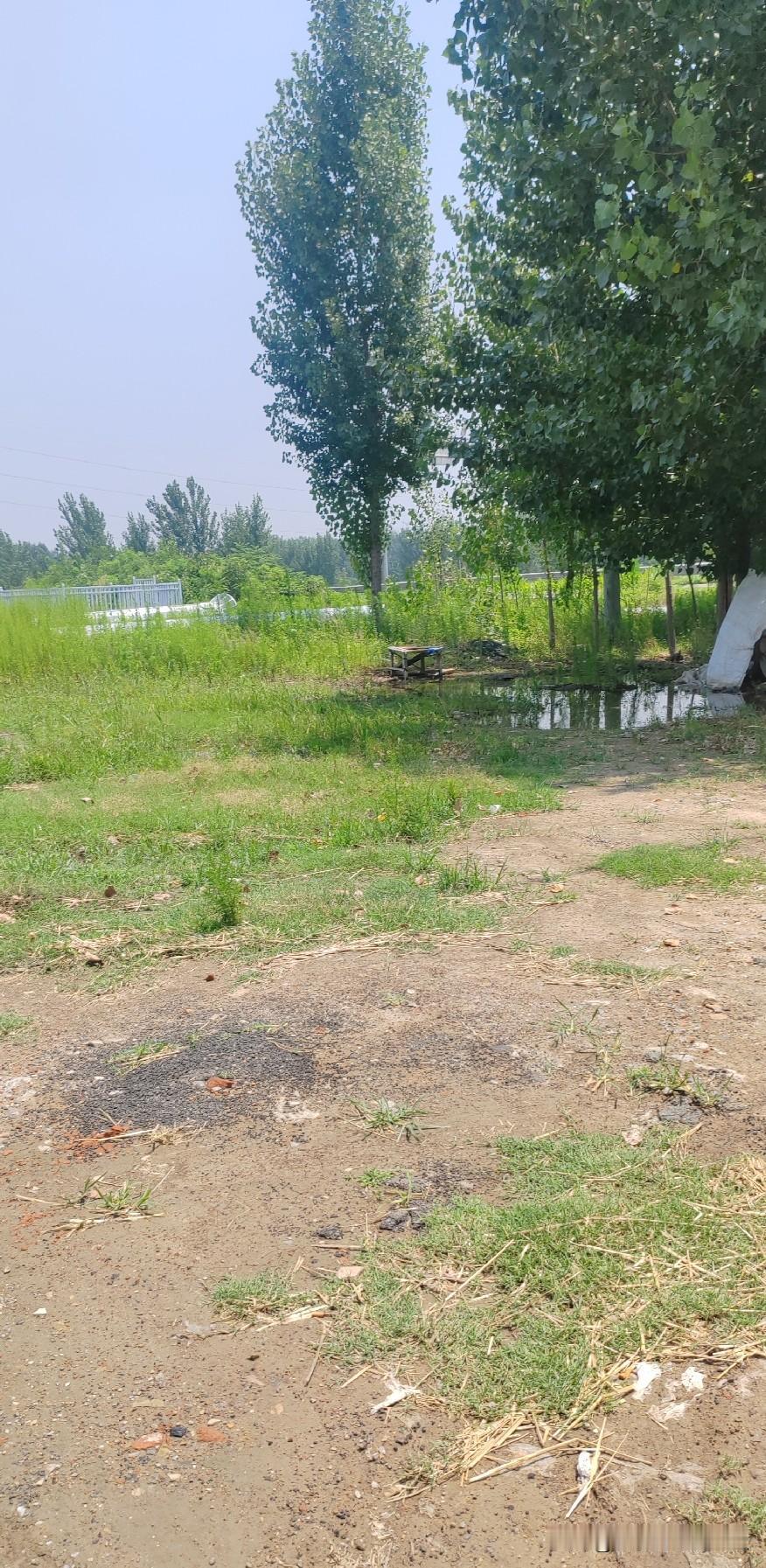 很多人其实不懂，人活着真的不能太过清闲。

老话都说土地闲置久了就会长满野草，人
