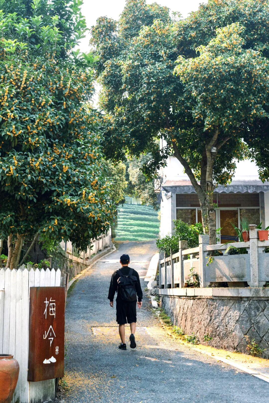 放过满觉陇吧！杭州这4个小众赏桂地更“香”！