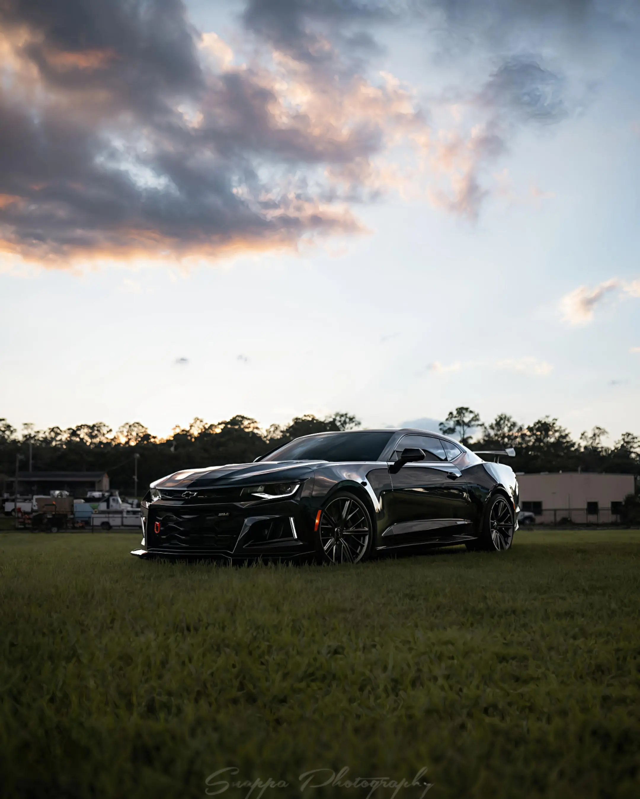 自由是灵魂的氧气 科迈罗