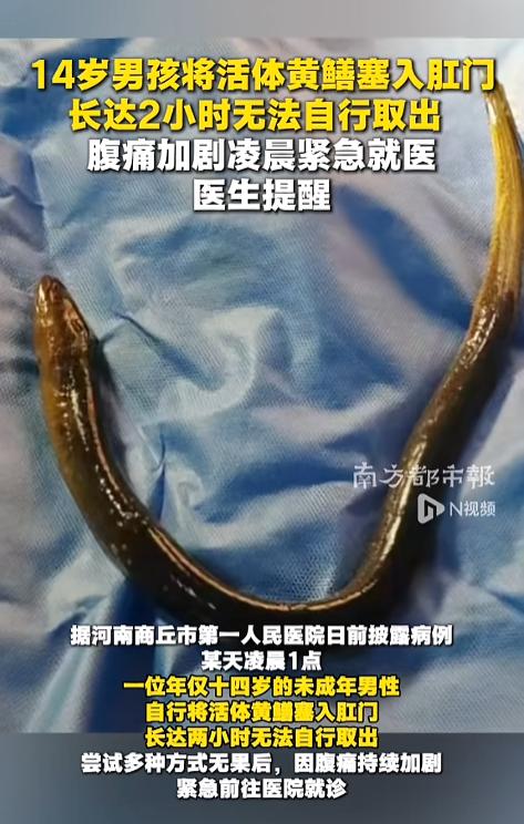 “怎么下的去手的呢！”5月25日报道，河南商丘，一位14岁的男孩凌晨到医院就诊，