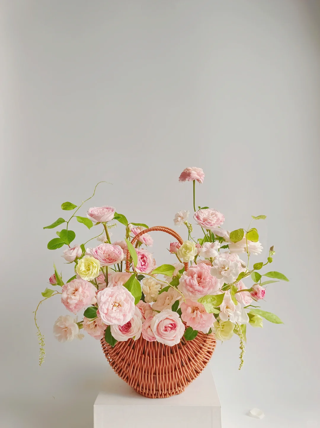 温柔粉~🌸