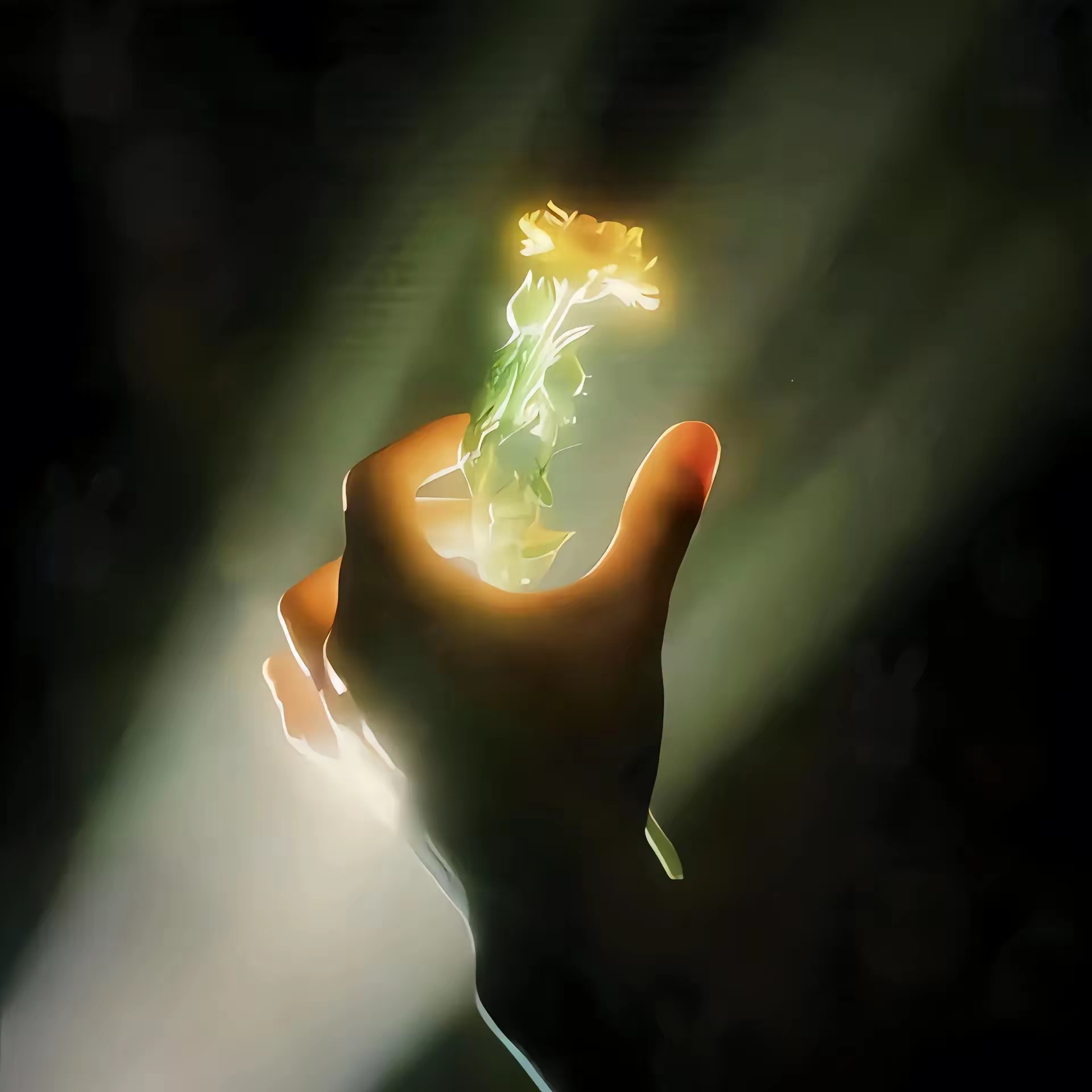 [2025]                 静能养心，动能养身，       