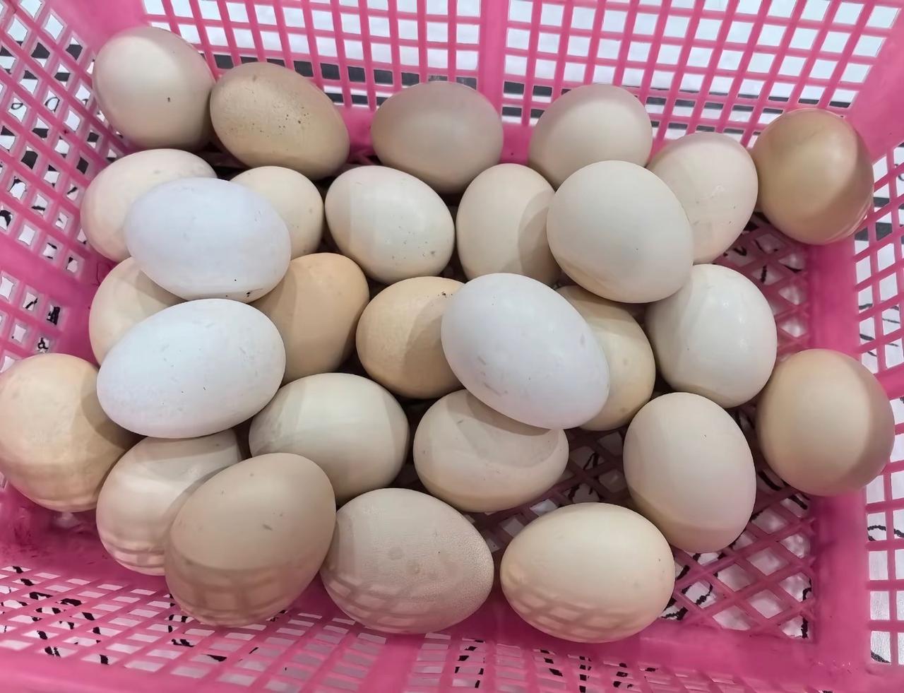 3月27日，网友反映：