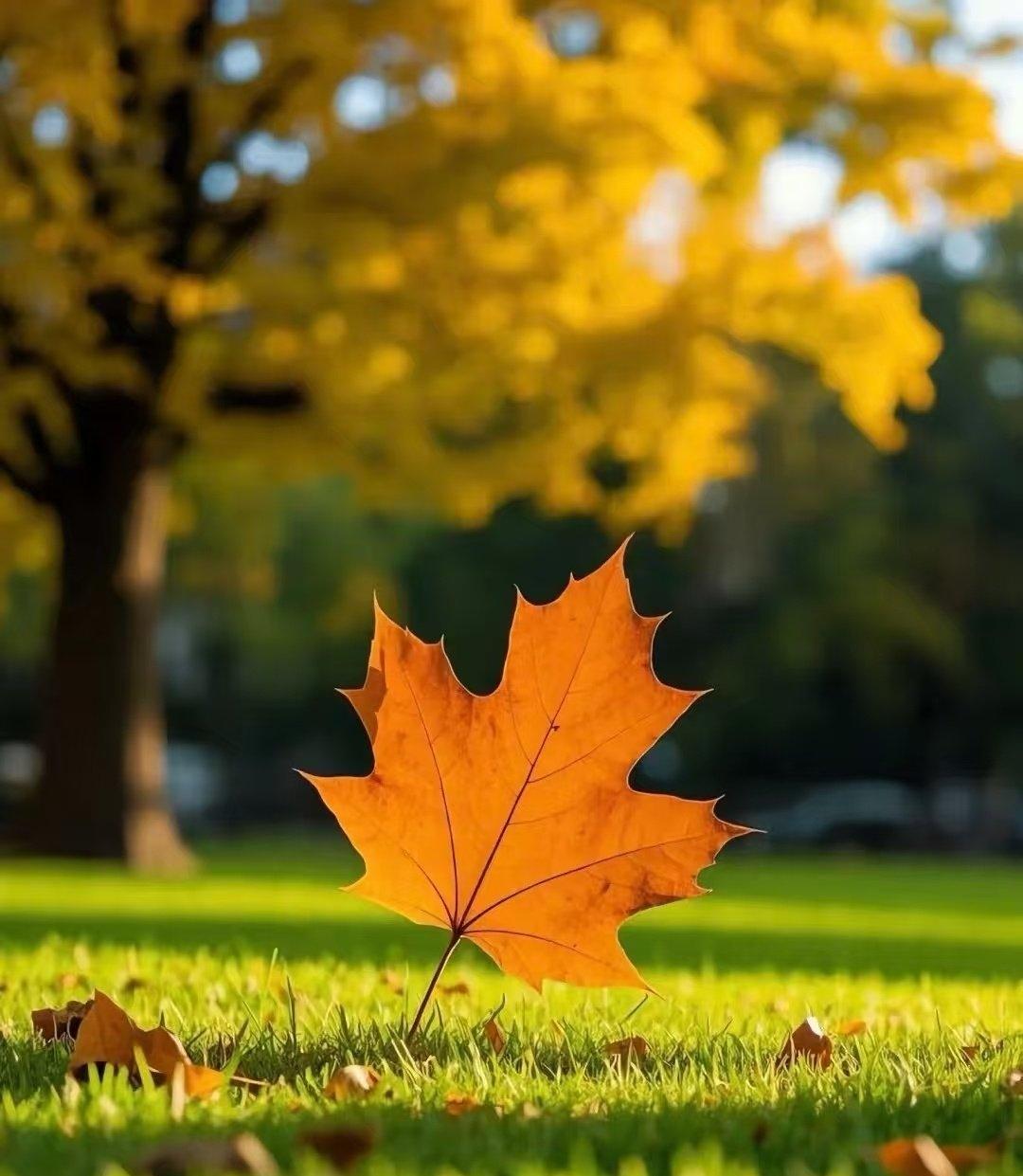 人这辈子，抓好两件事就够了：搞钱和搞自己
 
活到中年才慢慢明白，人生哪有那么多