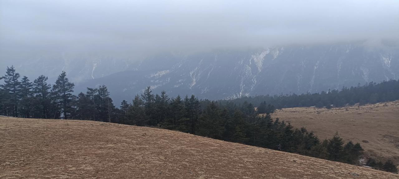 牦牛坪是个很美的地方。它在玉龙雪山景区北端，面积16.6平方公里。那里有彝族和藏