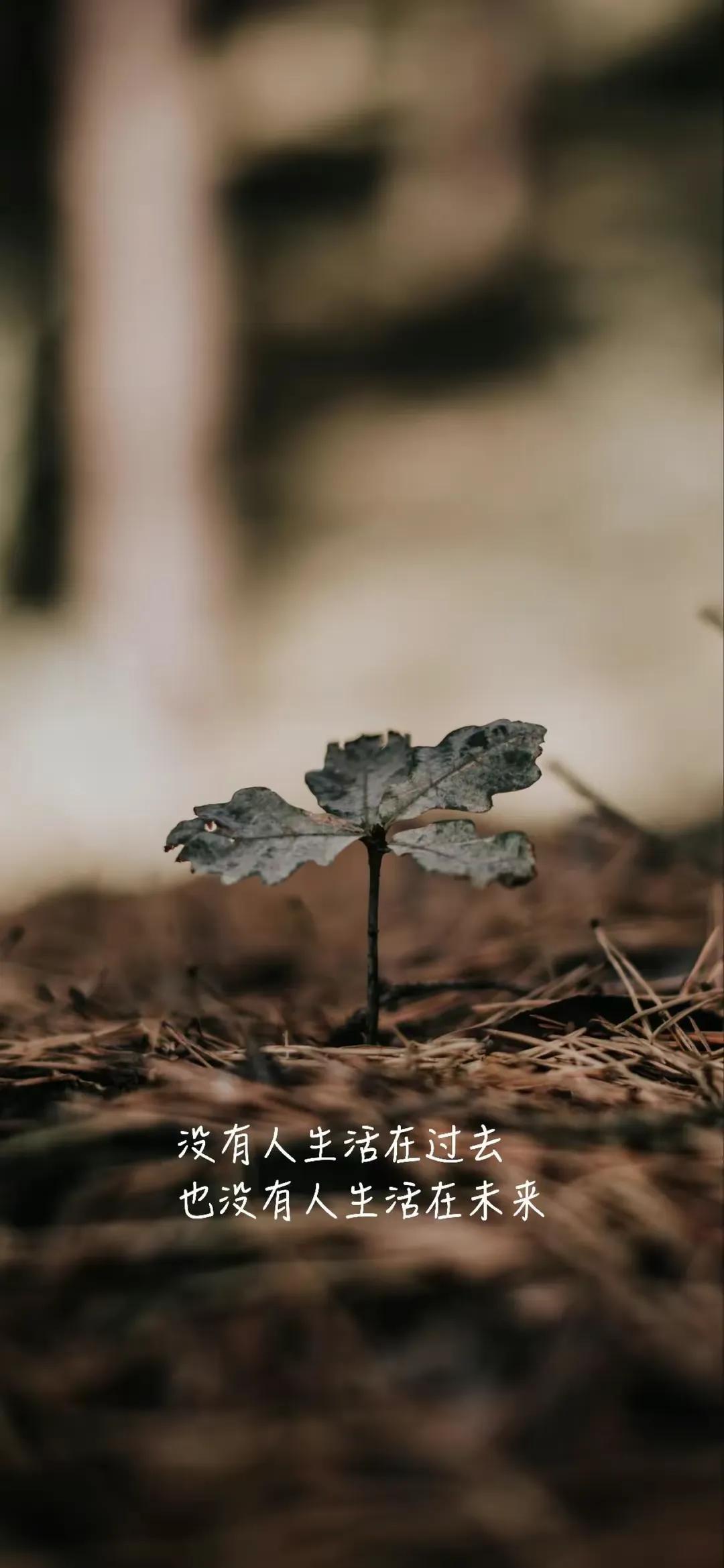 #西医能够治疗所有疾病吗?#西医并不能治疗所有疾病。虽然西医在疾病诊断和治疗方面