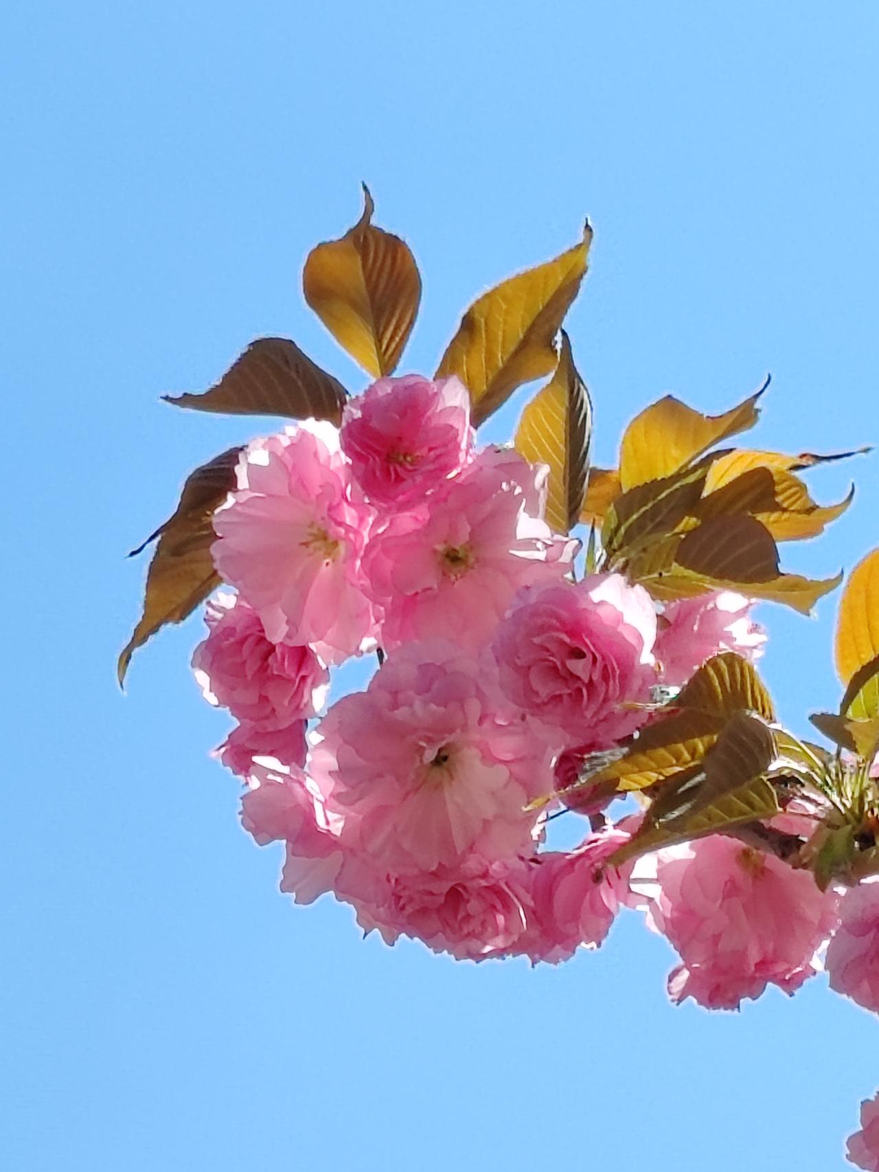 《民法典》明确，夫妻一方的婚前财产属于个人财产。除非夫妻间有特别约定，离婚时婚前