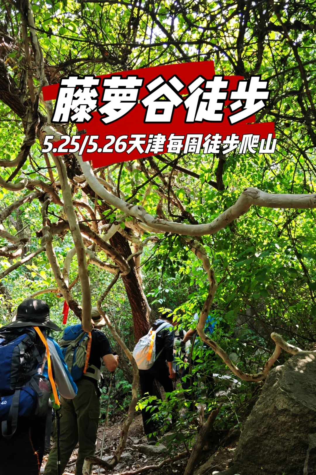 秘境仙踪藤萝谷徒步爬山来啦