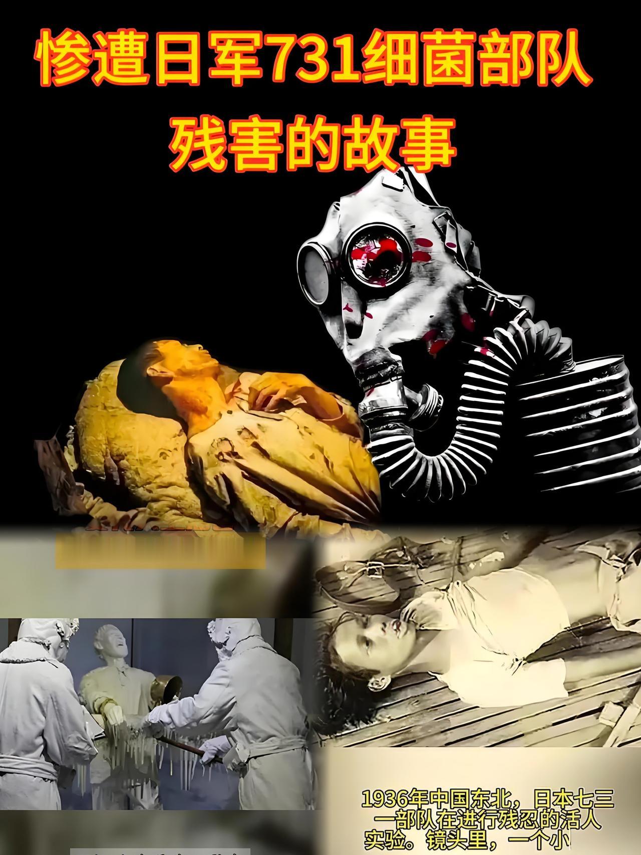 又添7人！731部队“特别移送”铁证再曝光 罪行休想洗白
 
731部队的罪恶名