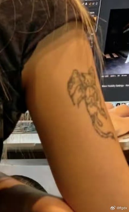 我说朱志鑫要不还是藏一下吧