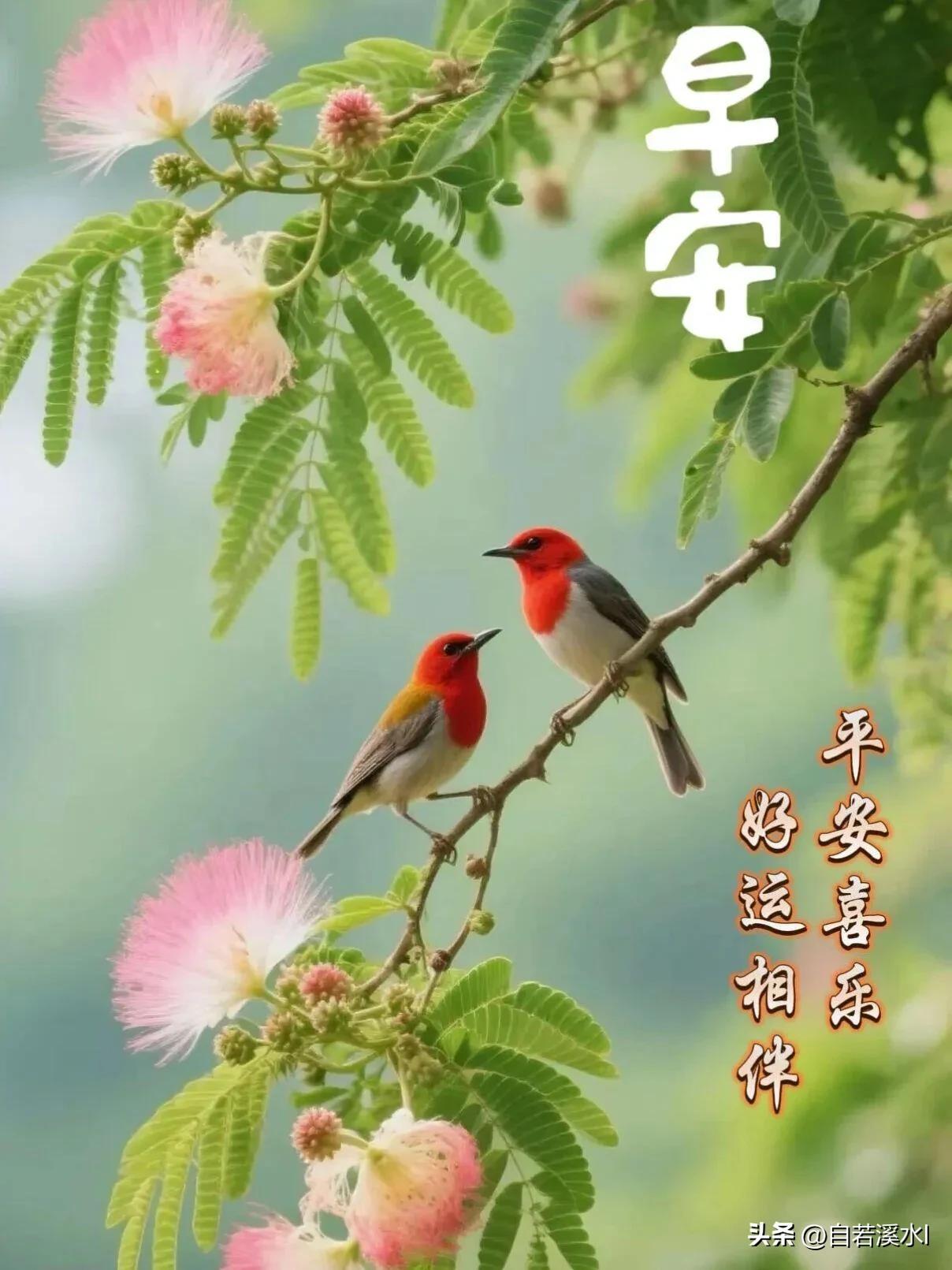 天亮啦，收起疲惫，今天也要元气满满好好生活哦。