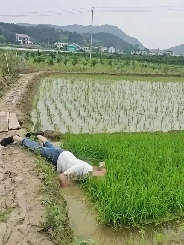 并非谁死谁有理！”四川，一七旬大爷早起锻炼时，路过一片稻田，当他来到稻田边蹲下洗