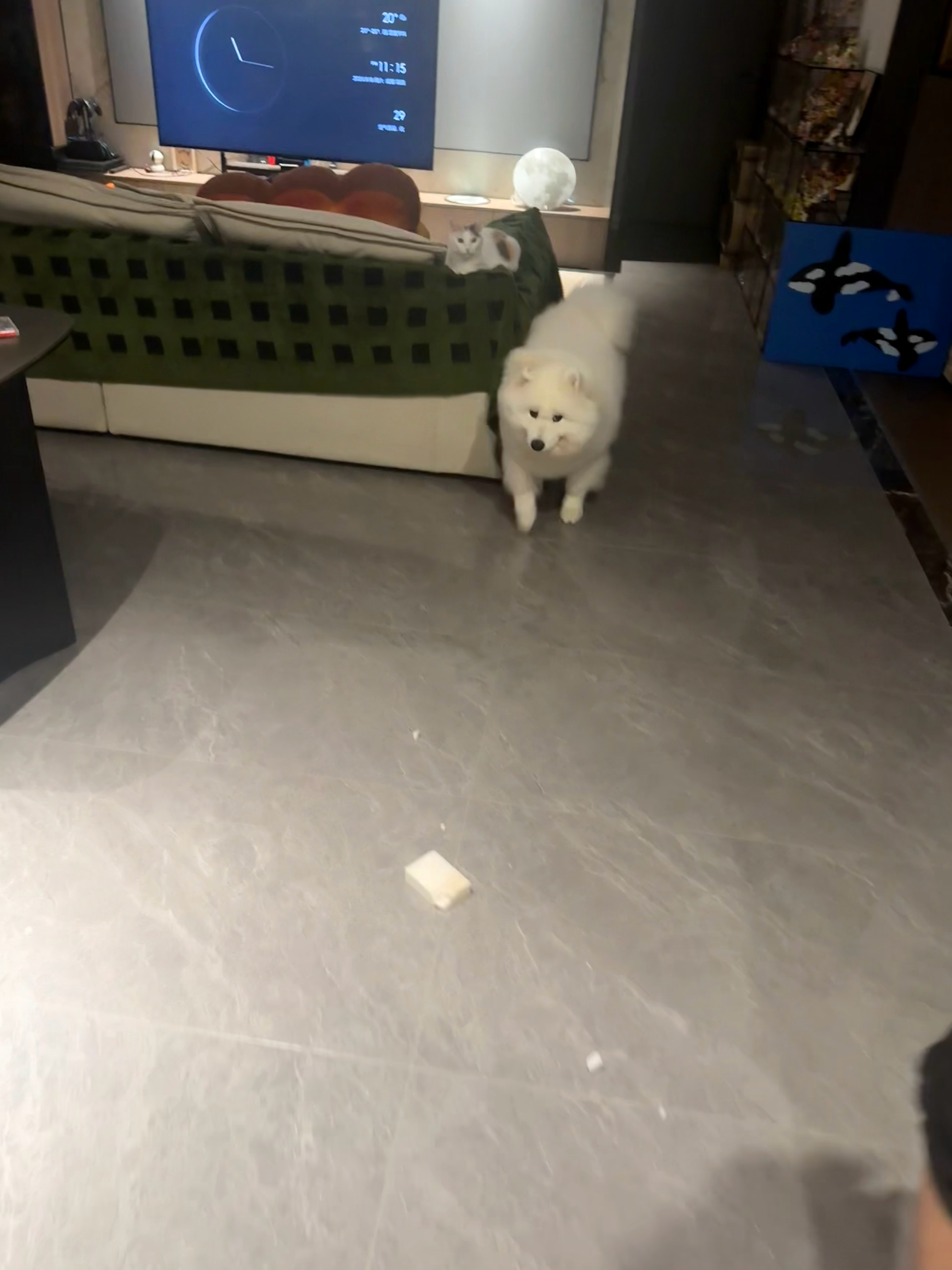 刚睡醒，什么事？ ​​​