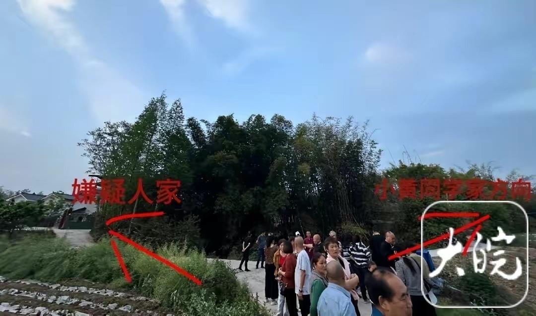 【震惊！四川眉山仁寿11岁女孩独自外出突遭不幸，嫌犯竟是“公认的老实人”】

近