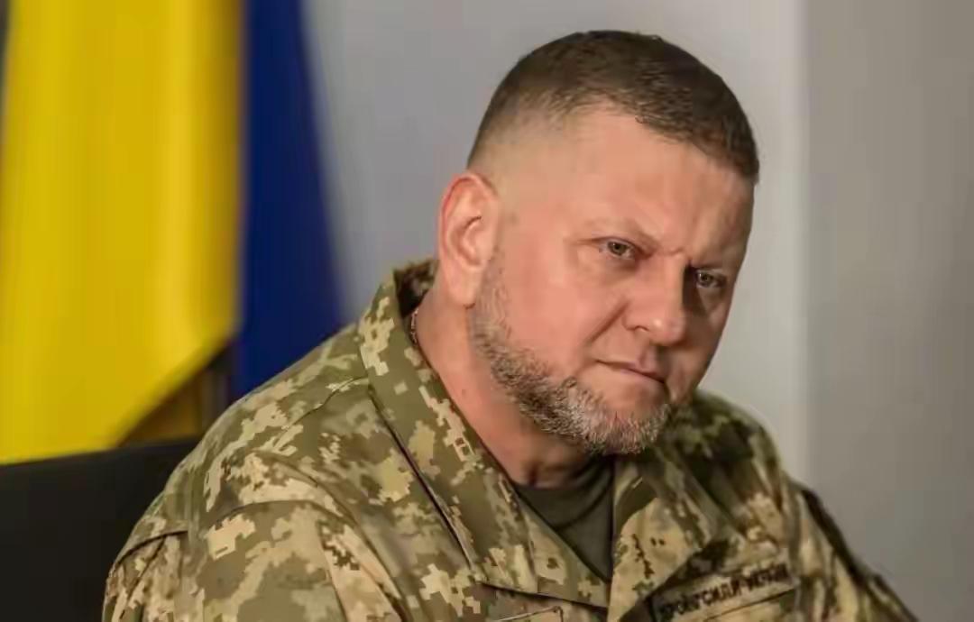 乌军前司令扎卢日内说了一句大实话，这个世界上没有任何一个国家能阻止俄乌战争，美国