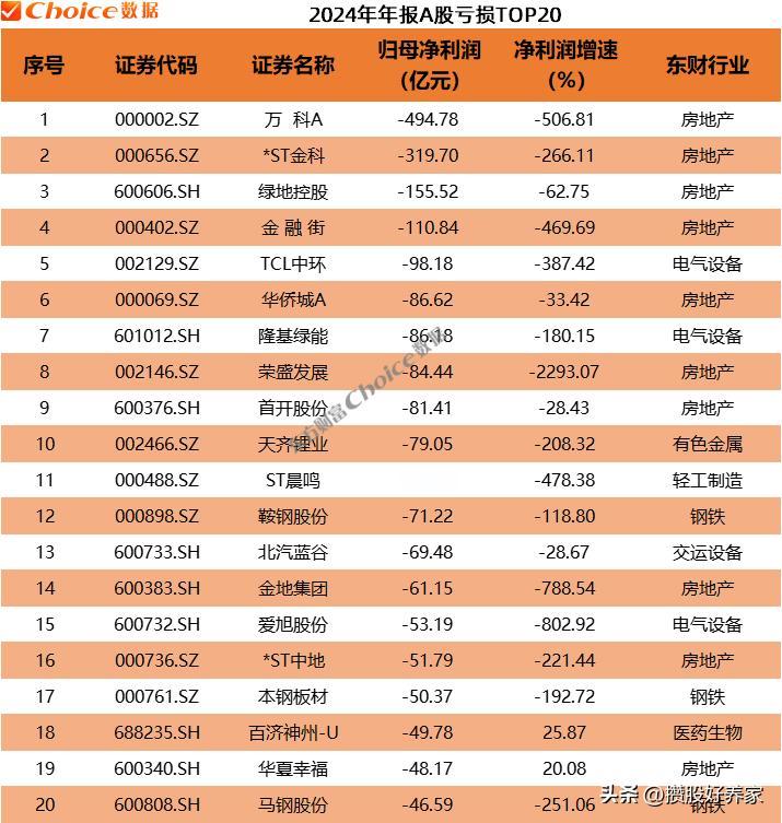 2024年A股亏损公司TOP20