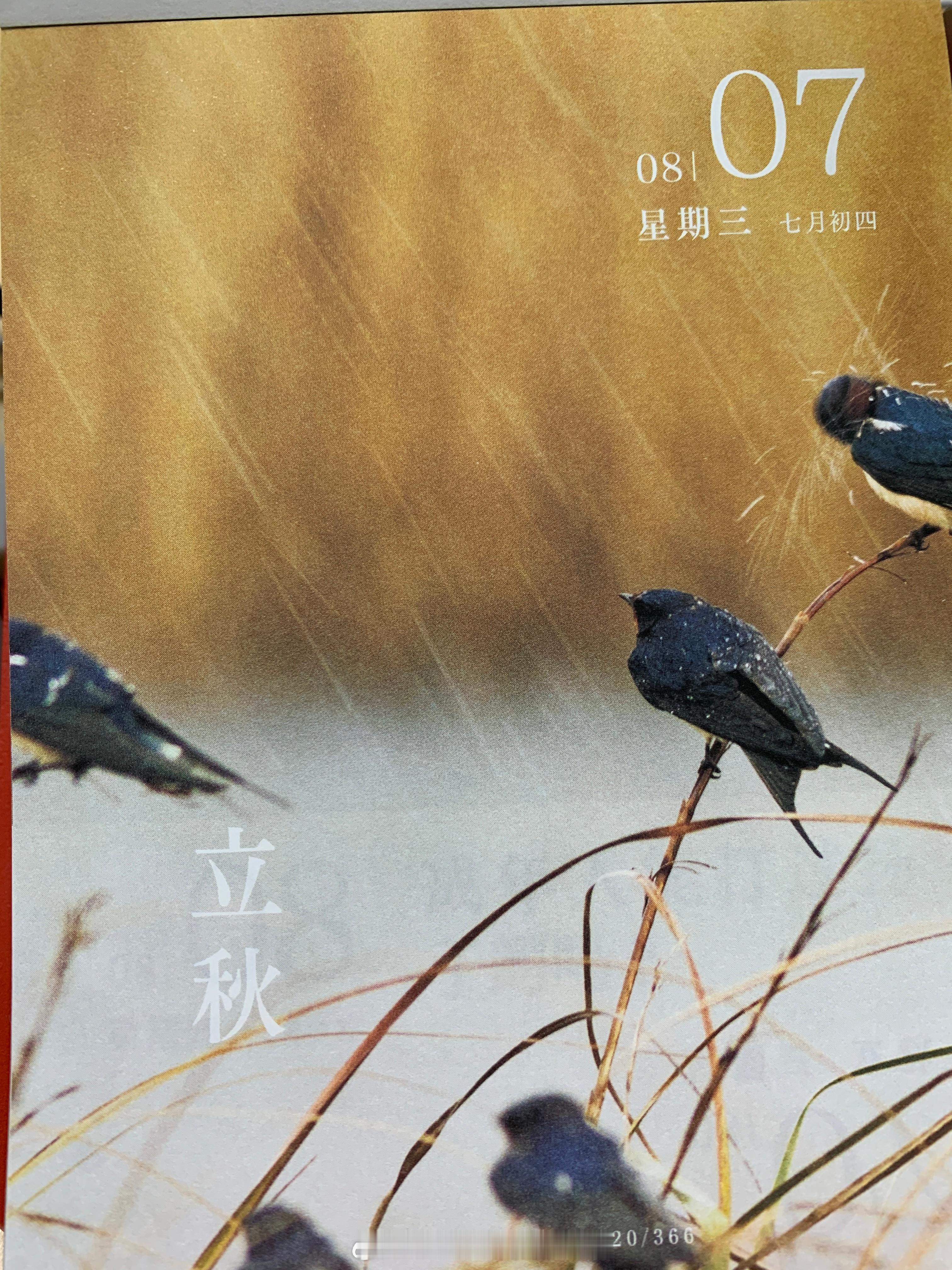 朋友们早，今儿 ​​​