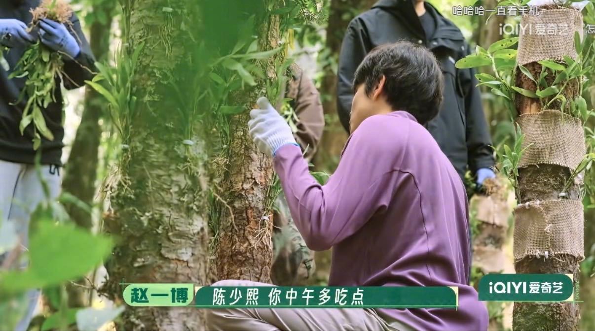 十个勤天不允许任何一个人减肥 全员反减肥联盟陈少熙除外🤣李耕耘调侃“你本来就瘦