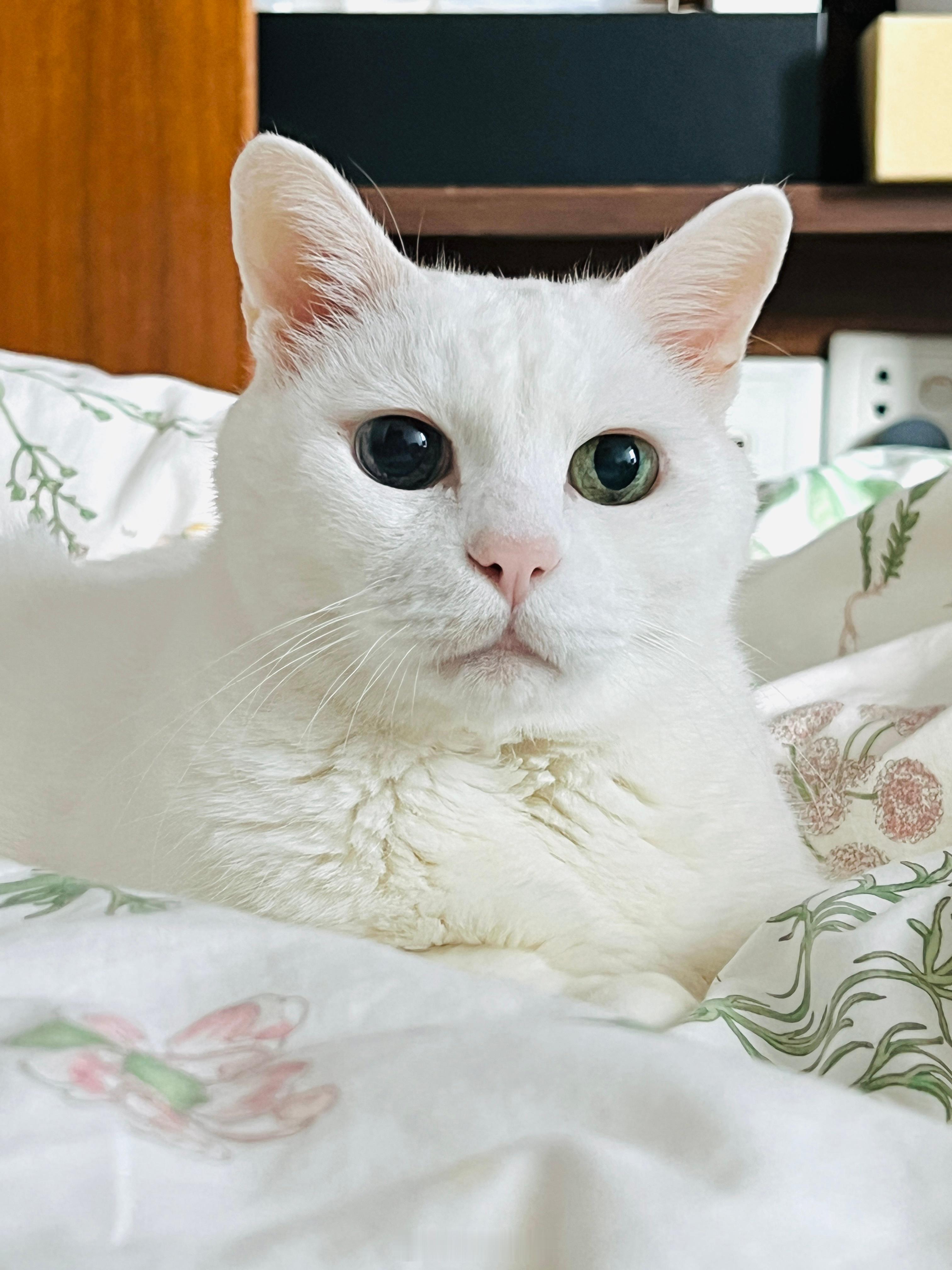 大家早安🌷祝每位捧油都有好運氣 