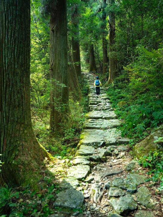 杭州春日治愈徒步路线合集🍃和植物交个朋友