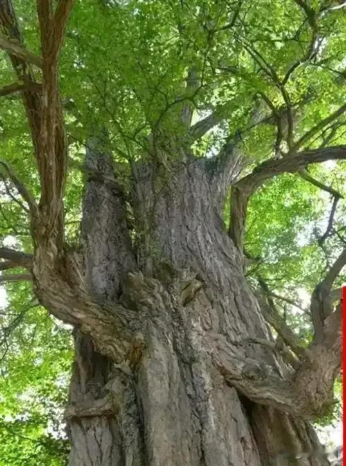 《卜算子·自修成景》

最好是自身，
尘世寻真境。
自赏风光自行途，
常念旁人幸