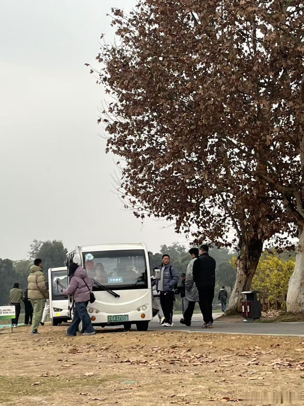林更新入蜀地，路边摊前引热议。在成都的日常画卷里，他是独特一笔。美食香伴明星影，