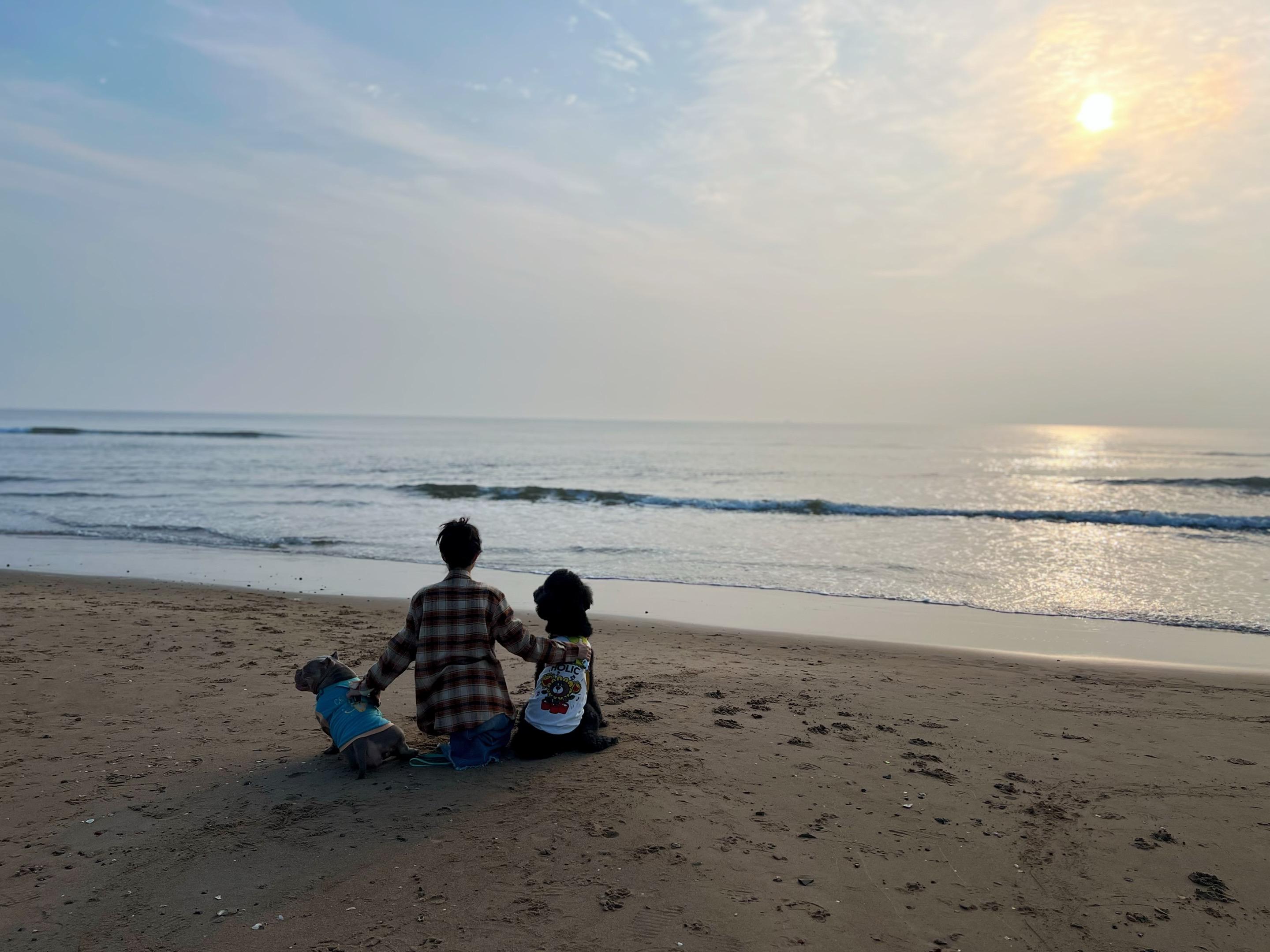 你很爱你的小狗们。 爱到愿意俯身去猜测她们的喜怒，爱到查资料找医生只为...