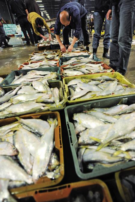 被老师批评后娃拒不上学？带他去趟菜市场竟治好了
 
网友的儿子被老师当众批评“上