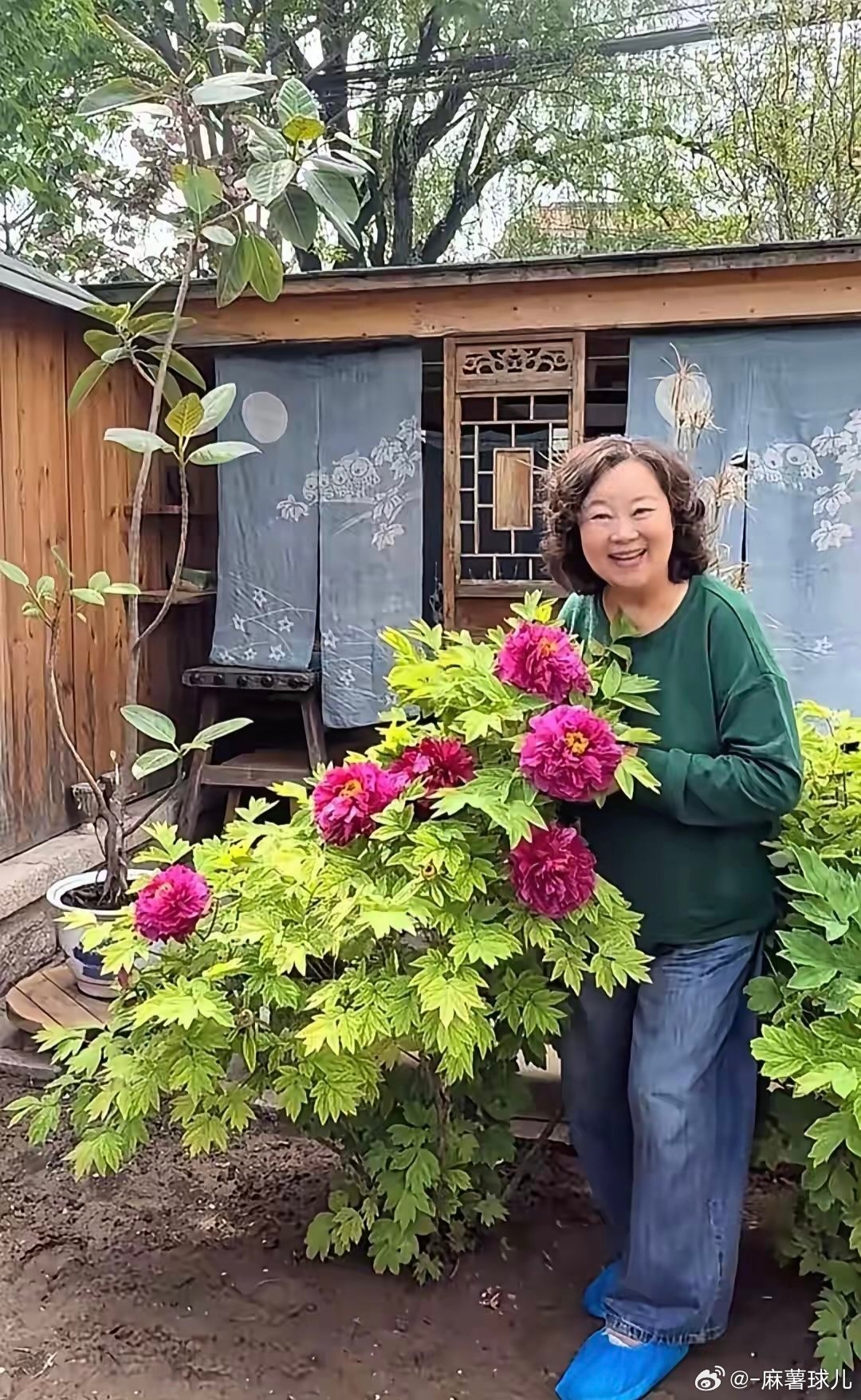 71岁方青卓北京独栋别墅养老，大院分区停车种菜，另一侧打造花园，栽种牡丹、月季、