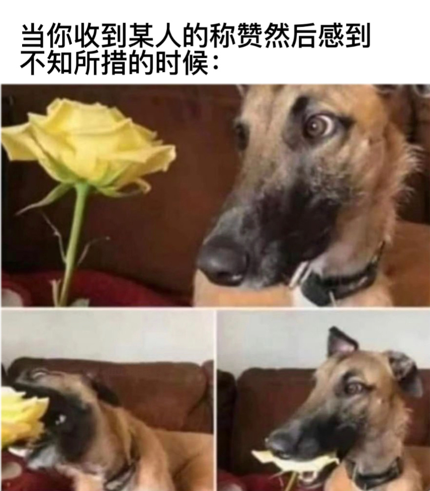 哪里哪里#今日memes# //#v笑年度大赏# ​​​