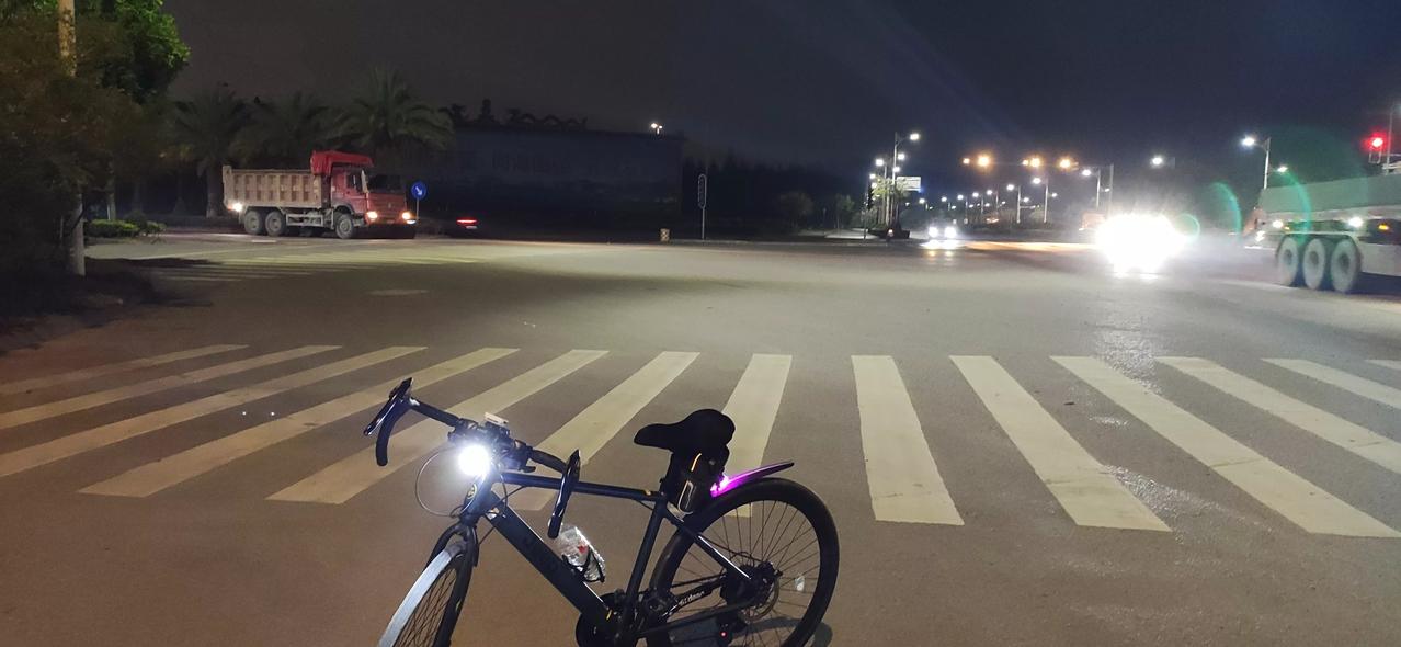 昨晚夜骑自行车，有个溜狗人在公路上不牵狗绳溜狗，差点被狗撞上。骑车遛狗两不误 骑