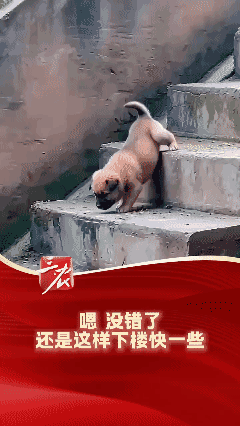 嗯 没错了 还是这样下楼快一些😂