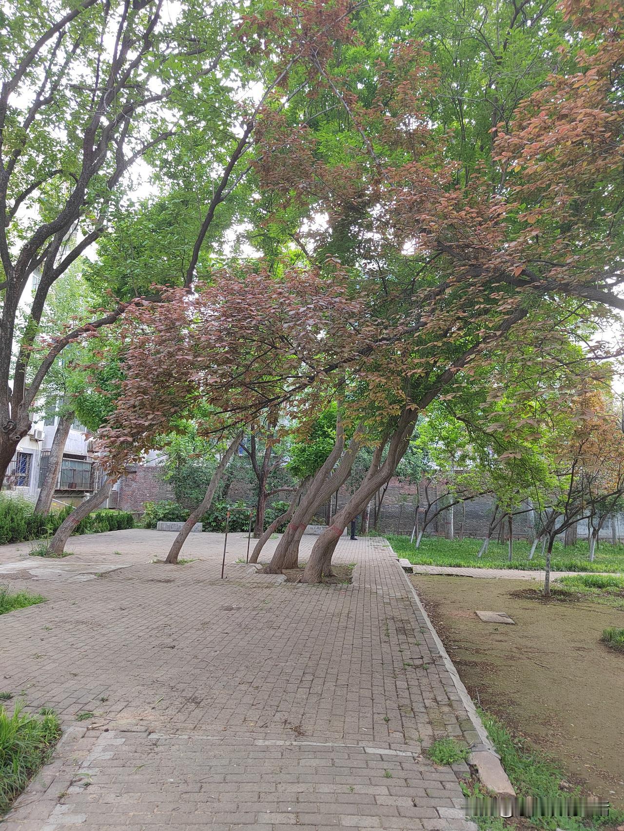 我觉得，退休工资应该设定上限和下限。
下限不要低于3000。
上限不要高于3万。