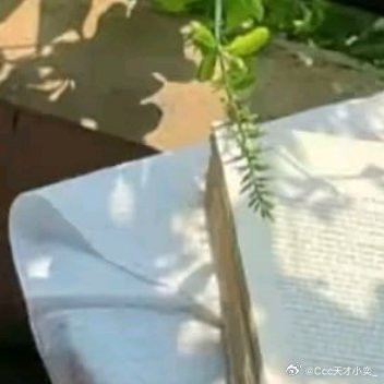 阳光信用 每日一善 向善是一种文明，也是一种光明。善良之举，需要人人拥有。善良之