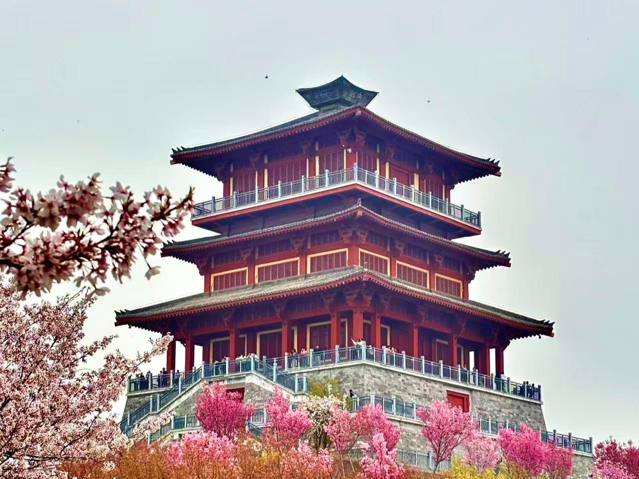 公园美丽景随拍