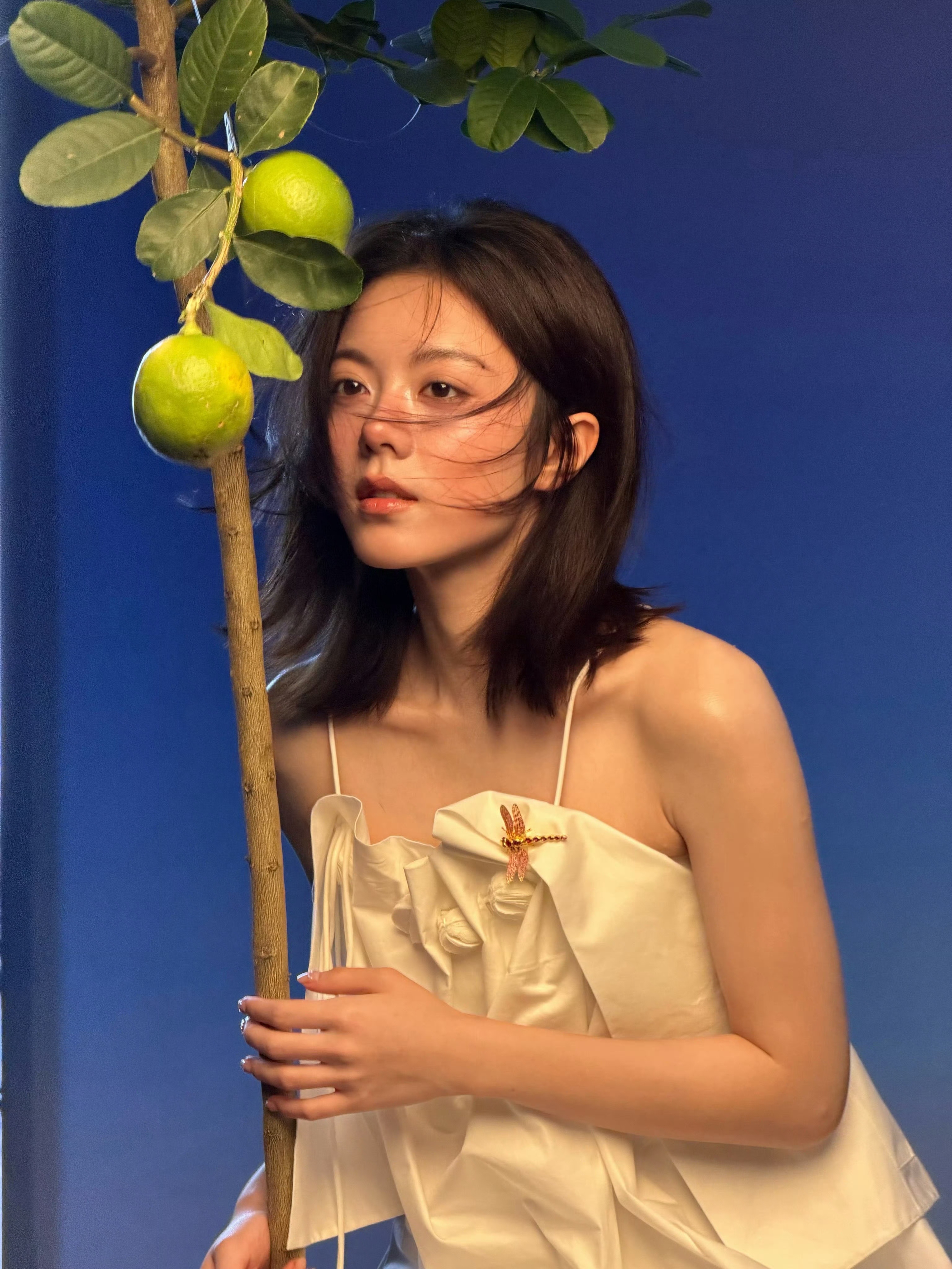 被赵今麦的蜻蜓配饰硬控30秒《KINFOLK》夏季刊赵今麦封面氛围感封神！素雅白