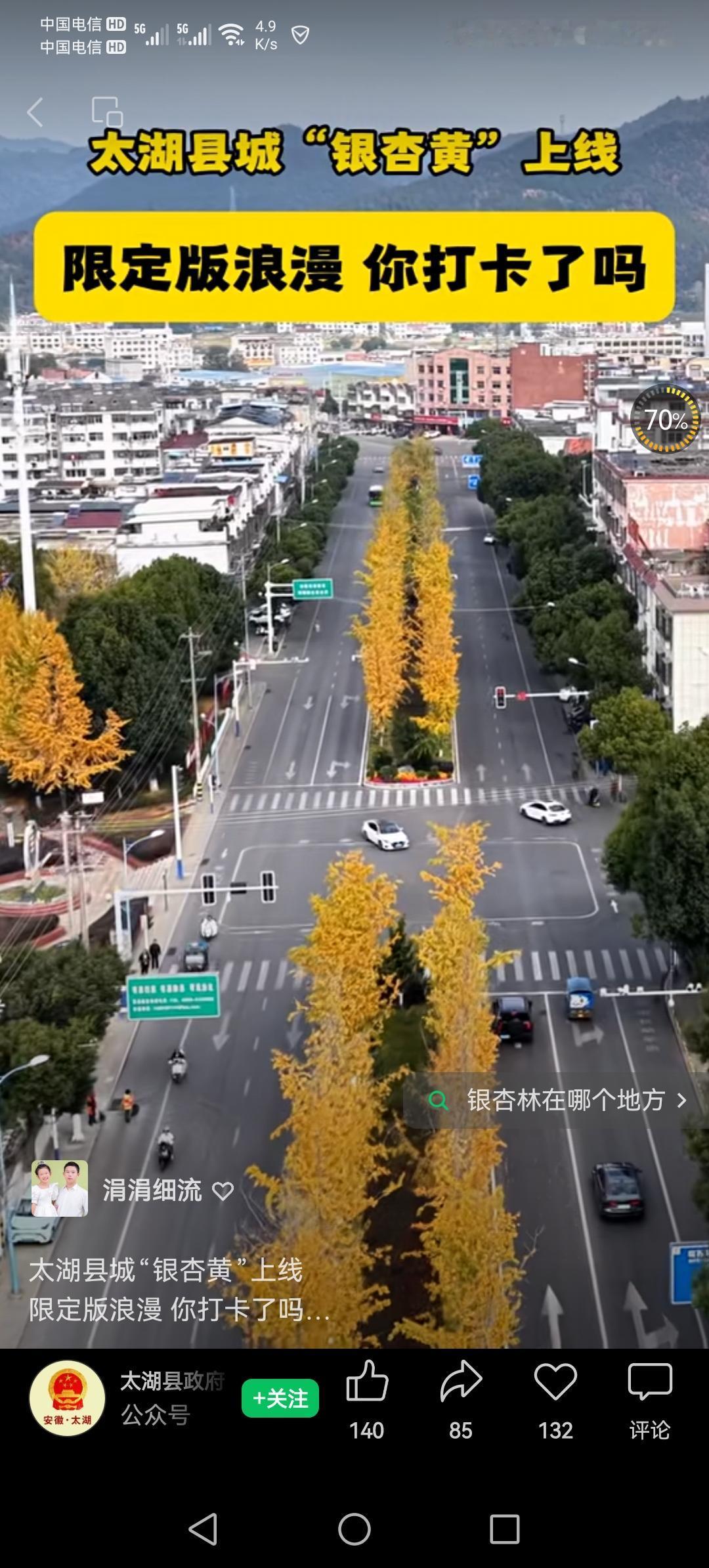 “银杏黄”浪漫驾临，邀请大家踊跃打卡