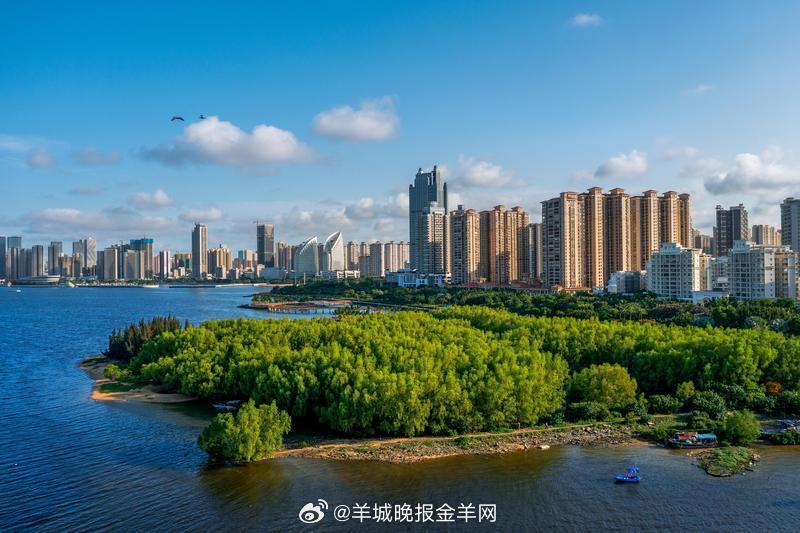 #早安# 晨光已至，万物苏醒✨推开窗，让第一缕阳光拥抱你，让晨风带走昨日的疲惫。