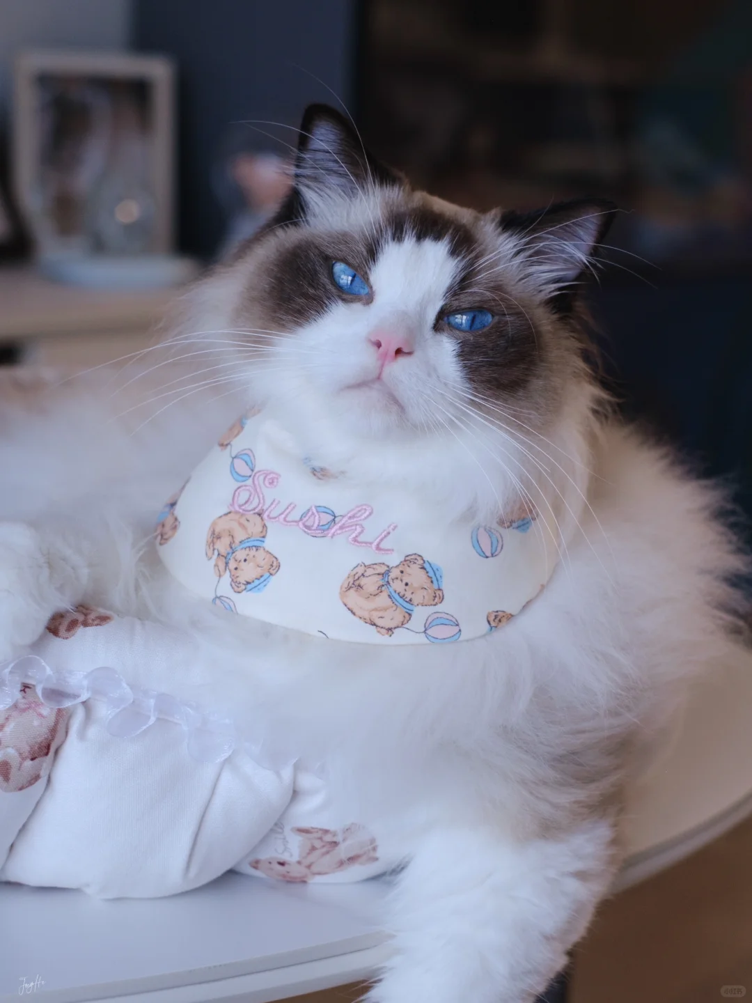 戴绣着自己名字的口水兜能更加努力干饭吗？