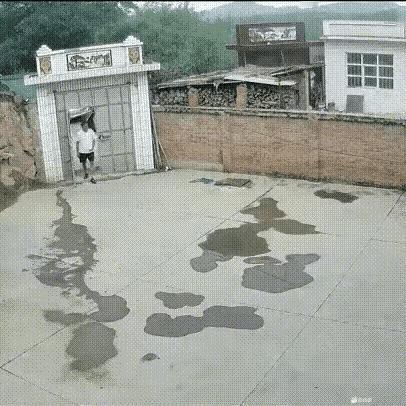 看了这个监控录像，今天终于知道了，原来小孩子确实不会说假话。曾经有位叫小明的小学