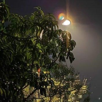 “人不可能每一步都正确， 我不想回头看 ，也不想批判那时候的自己 ，正所谓落子无