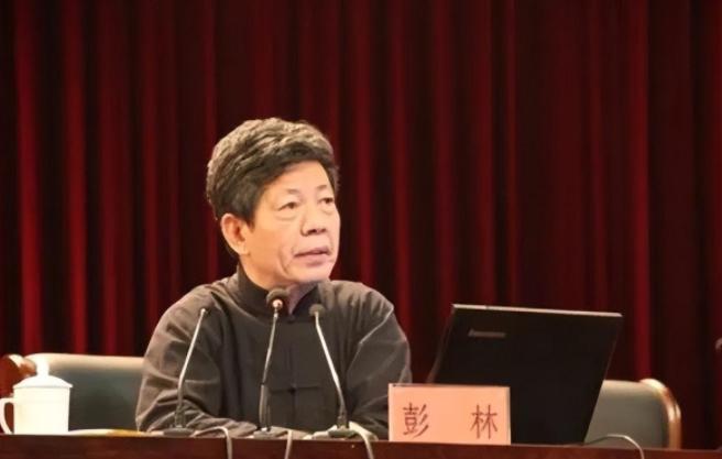 清华大学教授彭林曾说：“目前中国举国上下都在讲发展，什么都在讲发展，其实我们闭上